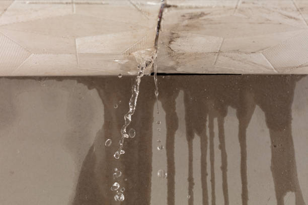Professional Burst Pipe Cleanup technician working in Dayton, KY
